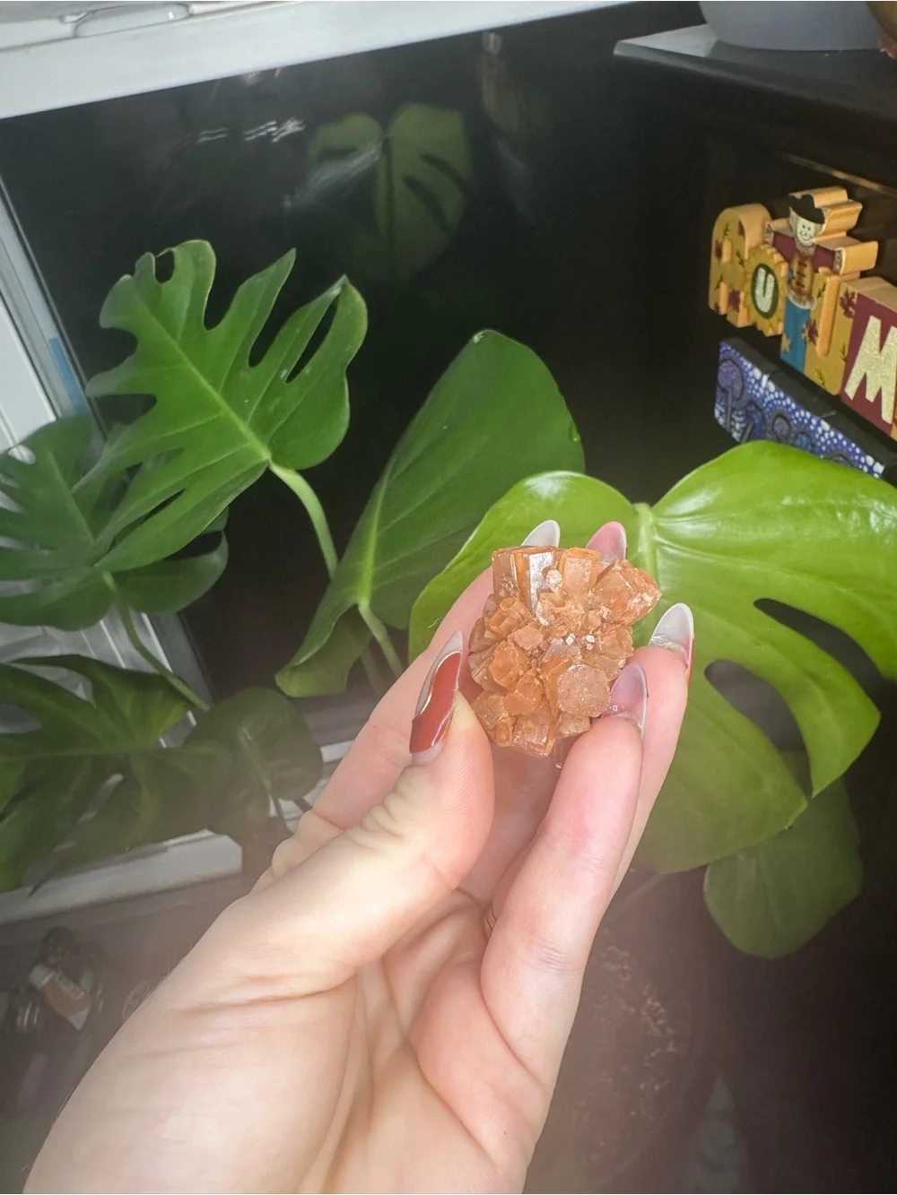 1 RANDOM Aragonite Flower Crystal Cluster - Peach & Cream